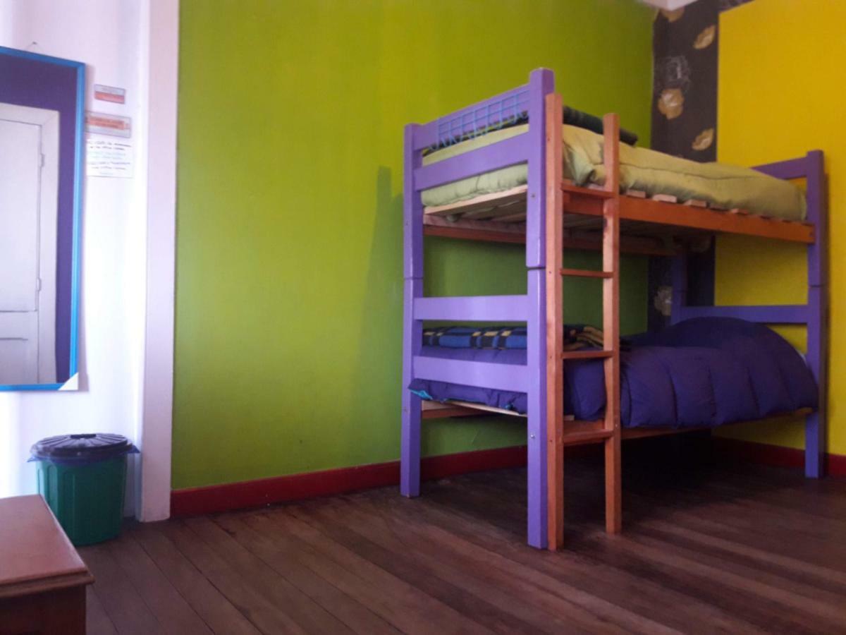 Street Garden Hostel 比尼亚德尔马 外观 照片