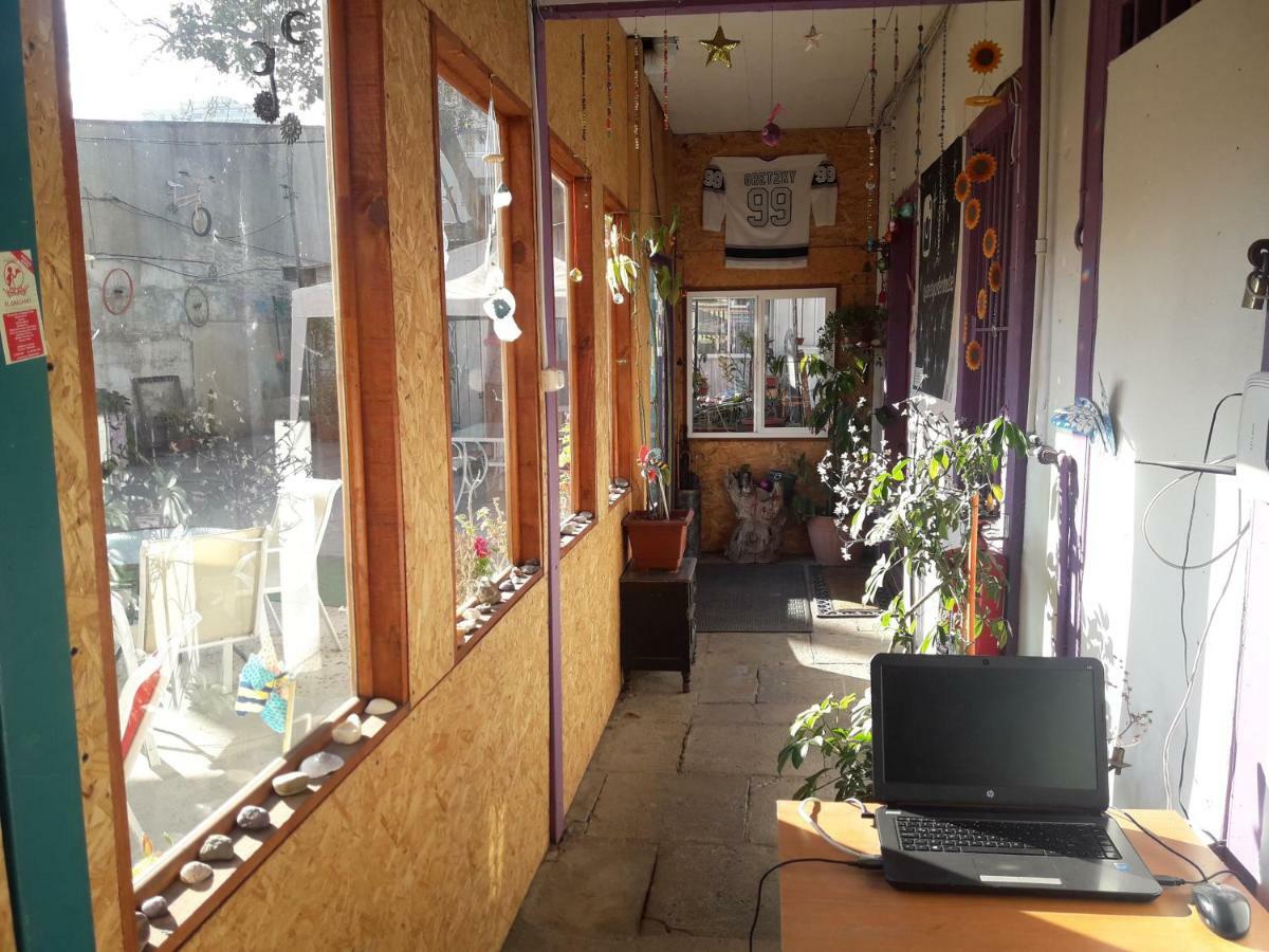 Street Garden Hostel 比尼亚德尔马 外观 照片