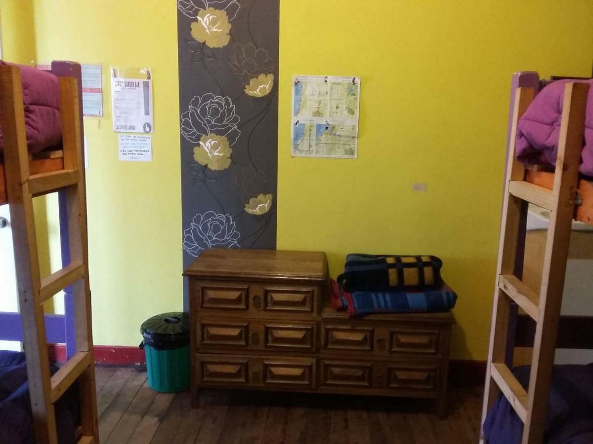 Street Garden Hostel 比尼亚德尔马 外观 照片