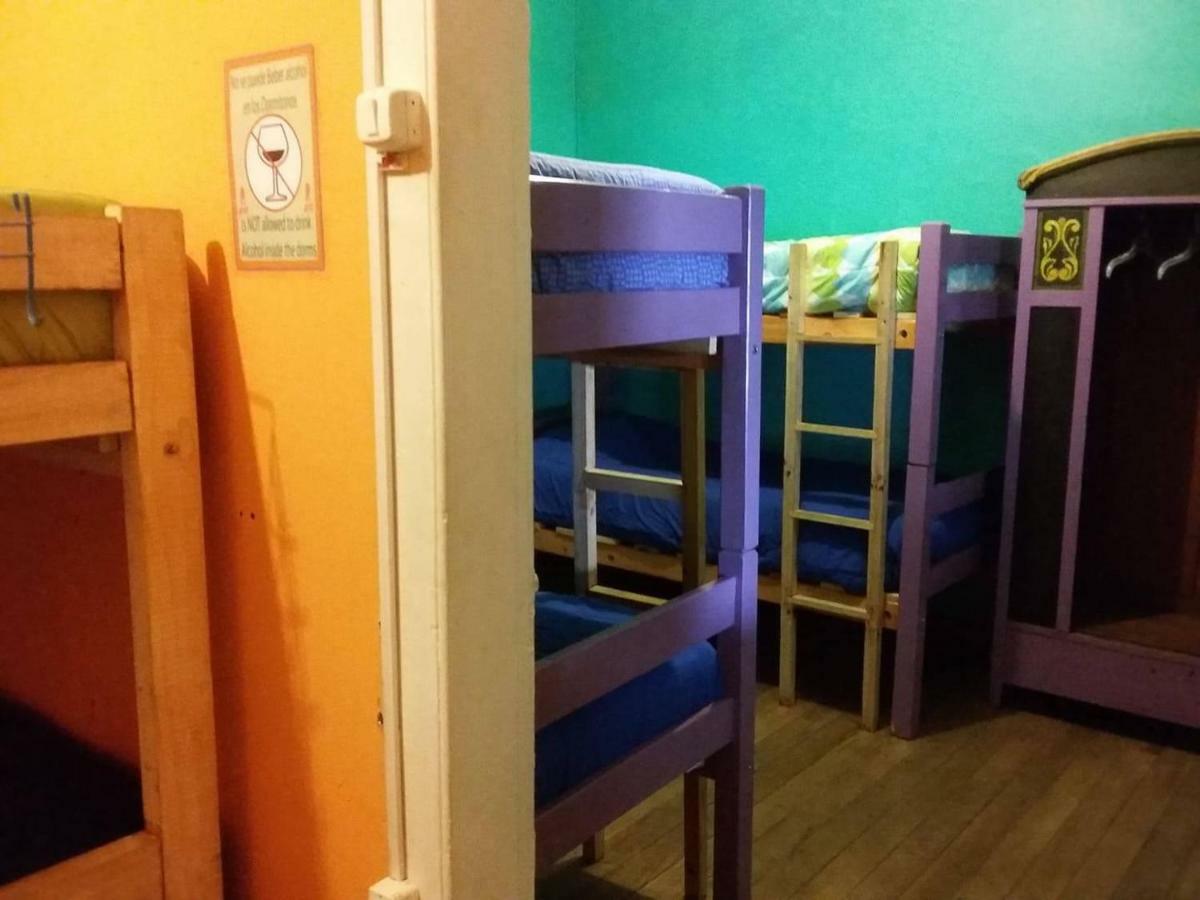 Street Garden Hostel 比尼亚德尔马 外观 照片